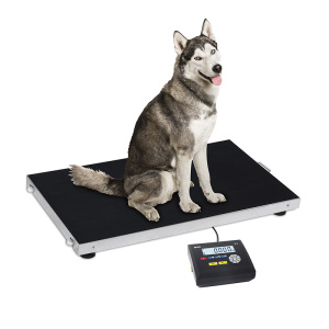 GRAMO PLUTO | K3 300-PL completo con indicador de repetidor K3