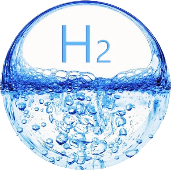 Waterstofdruktransmitter NHT 8250 met EC79 goedkeuring - Image 2