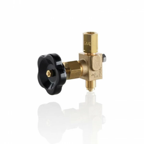 Gauge Valves Special types G 1/4