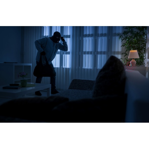 MClimate Motion Sensor | MC-S-MS-01 - Bilde 7