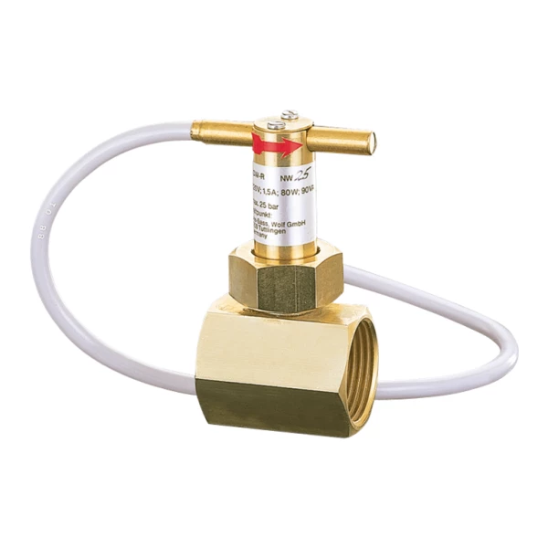 Flowswitch DW-R-40 (Type A Brass)