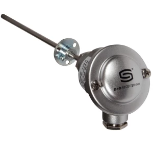 RGTF1 Pt100 L= 200 mm Kanaaltemperatuuropnemer - Rookgastemperatuuropnemer