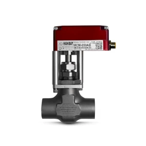 MCM-000XX-3-NFSS-FNS12-6R-Y