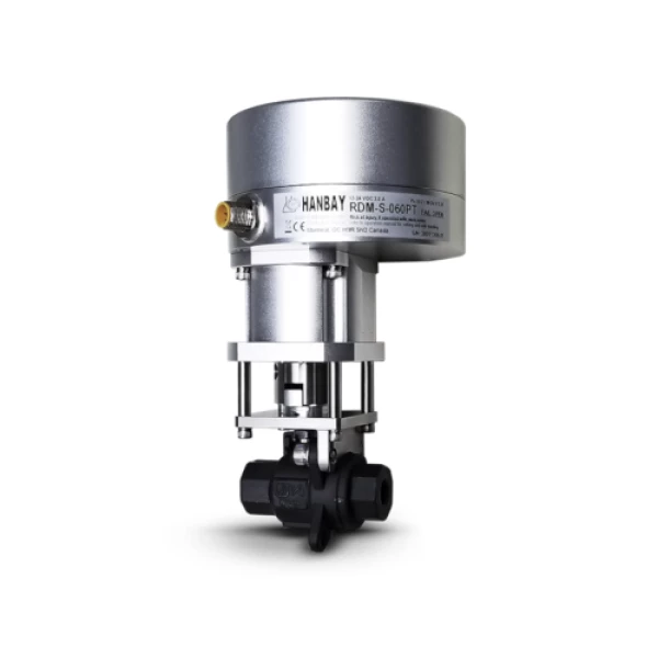 RDM-S-000XX-3-5H-22HBRT