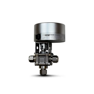 RDM-000XX-3-SS-63XTS8