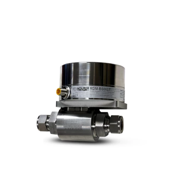 RDM-000XX-3-SS-8GBS12