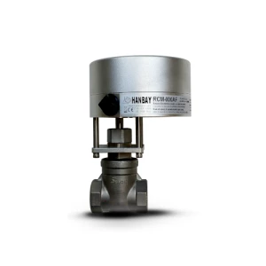 RCM-000XX-3-SV30276TE006