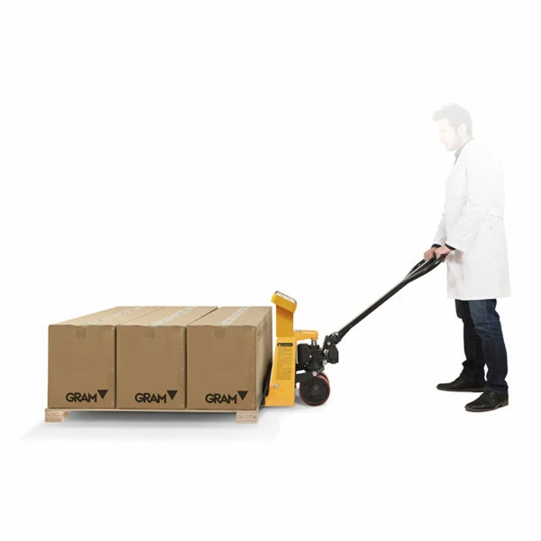 GRAM TCAMEL S tot 2000 kg, precisie 1 kg - Afbeelding 4