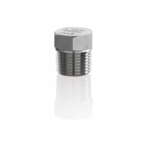 Pipe Plugs