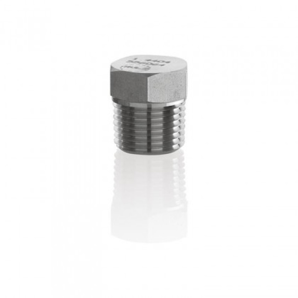 Pipe Plugs