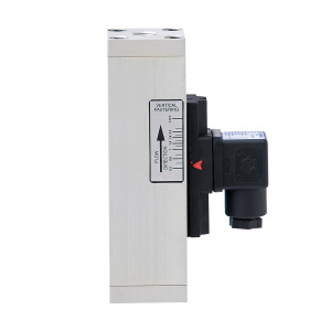 IF…E – Adjustable electric flow switches