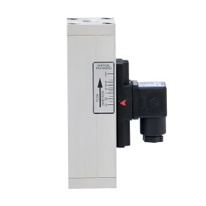 IF…E – Adjustable electric flow switches