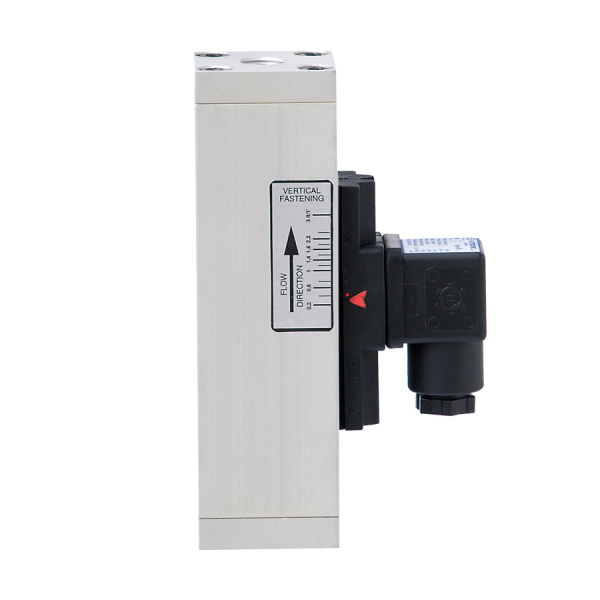 IF…E – Adjustable electric flow switches
