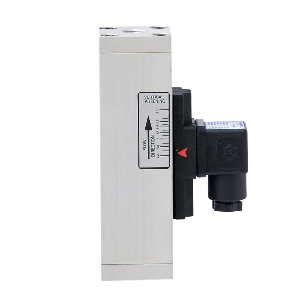 IF…E – Adjustable electric flow switches