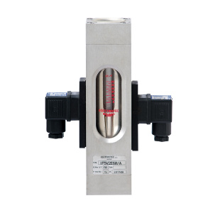 IF…V2E – Adjustable visual and electric flow switches