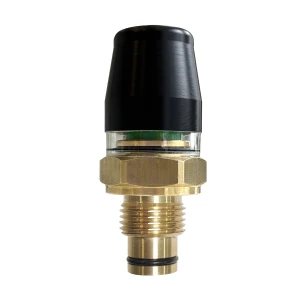 PDV – Differential pressure switch – visual clogging indicator