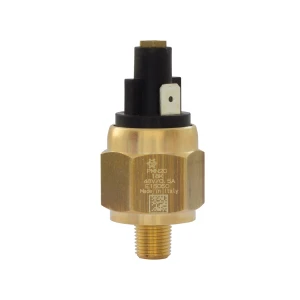 PMN – Adjustable pressure switches with push-on terminal