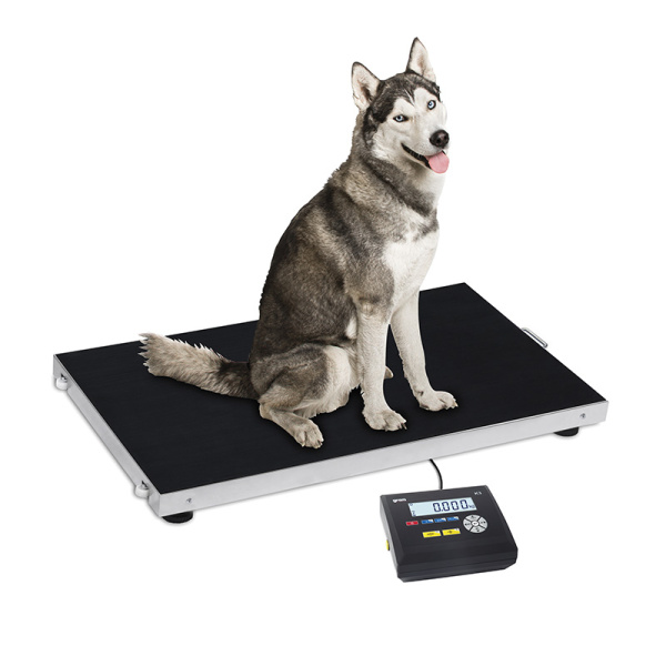 GRAMO PLUTO | K3 300-PL completo con indicador de repetidor K3